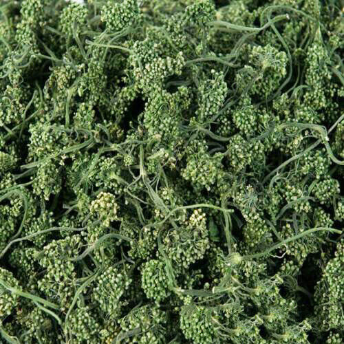 HelloYoung Pure Nature Herbs Drink125g Ginseng Flower Herbal Tea Dried Panax Ginseng China