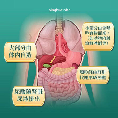 Natural Urate Lowering Uric Acid Hypoglycemic Lipid-Lowering Herbal Tea