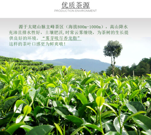 HelloYoung 300g Organic Fuding Gong Mei Tribute Eyebrow High Mountain White Tea Shou Mei