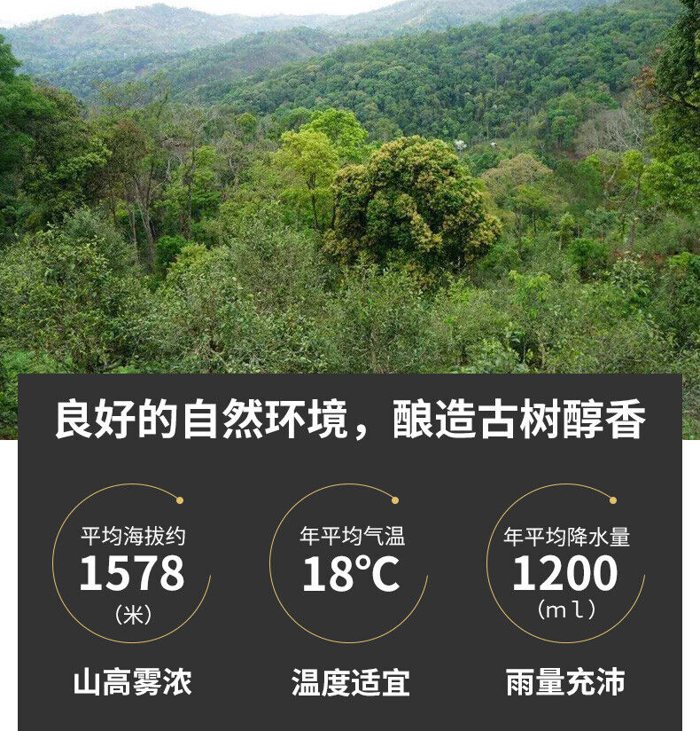HelloYoung TeaDr. Pu'er Tea Yunnan Black Tea Ancient Tree Dian Hong Brick DianHong 250g