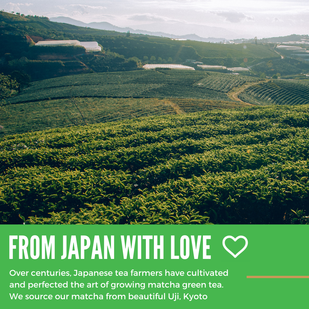 100% Pure USDA Organic Matcha Green Tea Powder Japanese PREMIUM Grade 80g